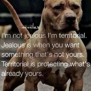 Meet your Posher, Freddie